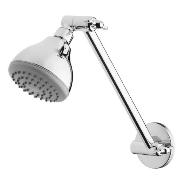 Ivy Shower Head and Arm