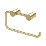 Brushed Brass/Gold