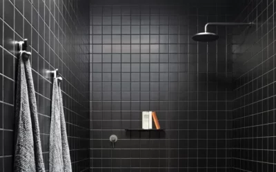 5 Great Shower Heads
