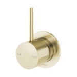 Brushed Brass/Gold