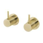 Brushed Brass/Gold