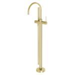 Brushed Brass/Gold
