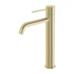 Brushed Brass/Gold