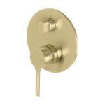 Brushed Brass/Gold