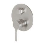 Brushed Nickel