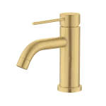 Brushed Brass/Gold