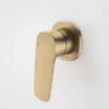 Brushed Brass