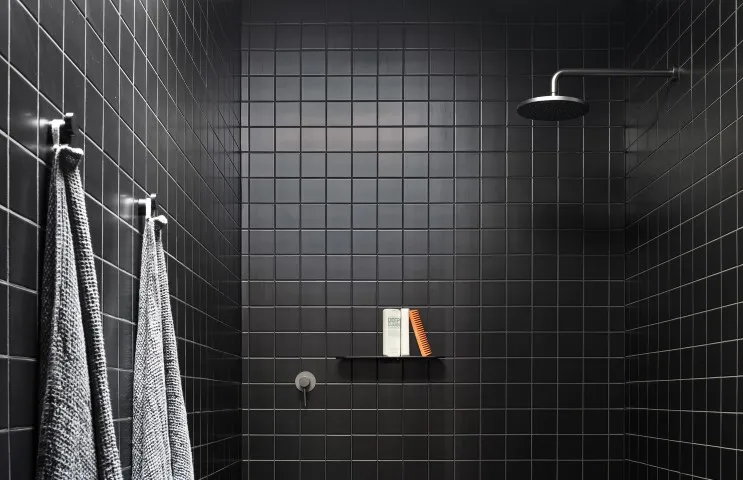 5 Great Shower Heads