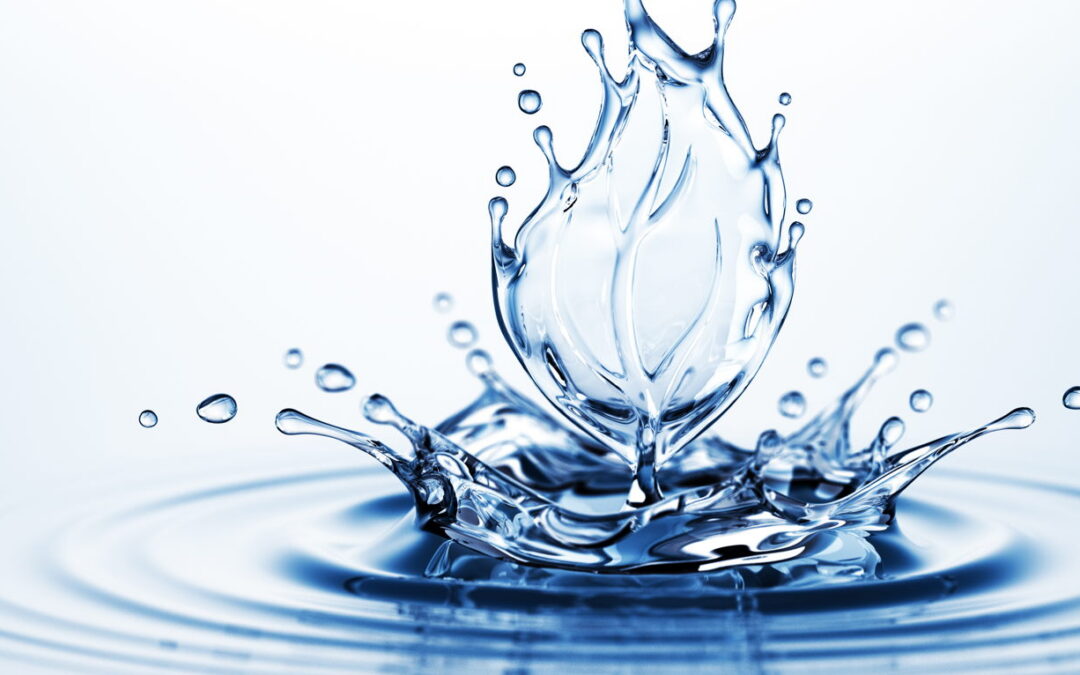 WELS Rating for efficiencies. 1 Great Way to Save Money.