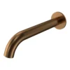 Matt Bronze