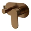 E2.04.48-Matt-Bronze-web_1024x1024@2x